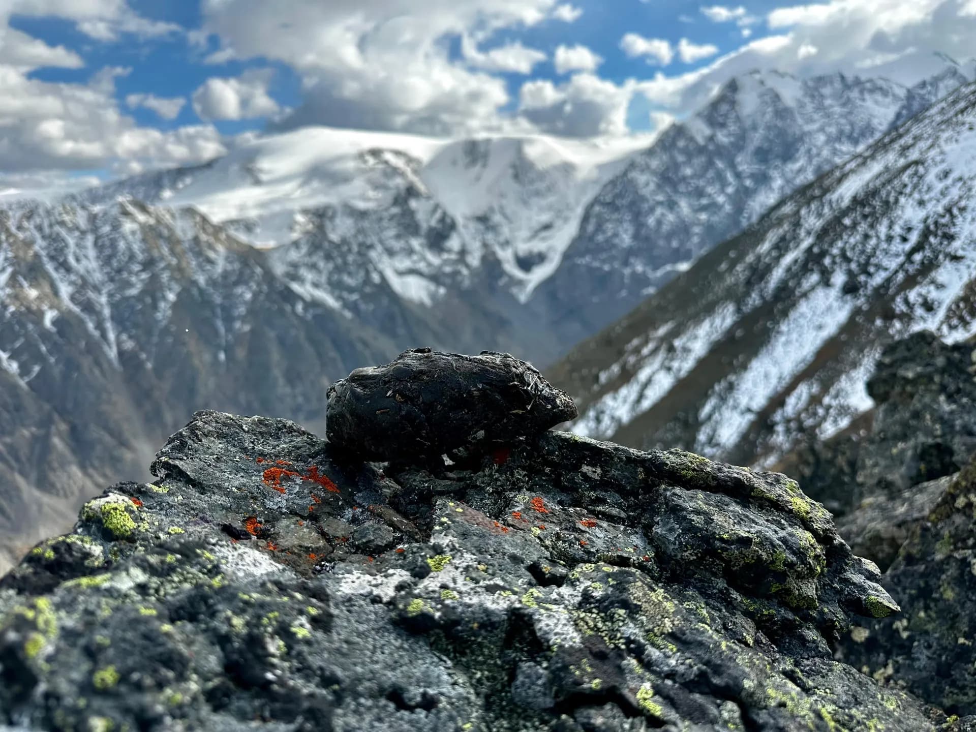Raw shilajit resin on an Altai mountain ledge